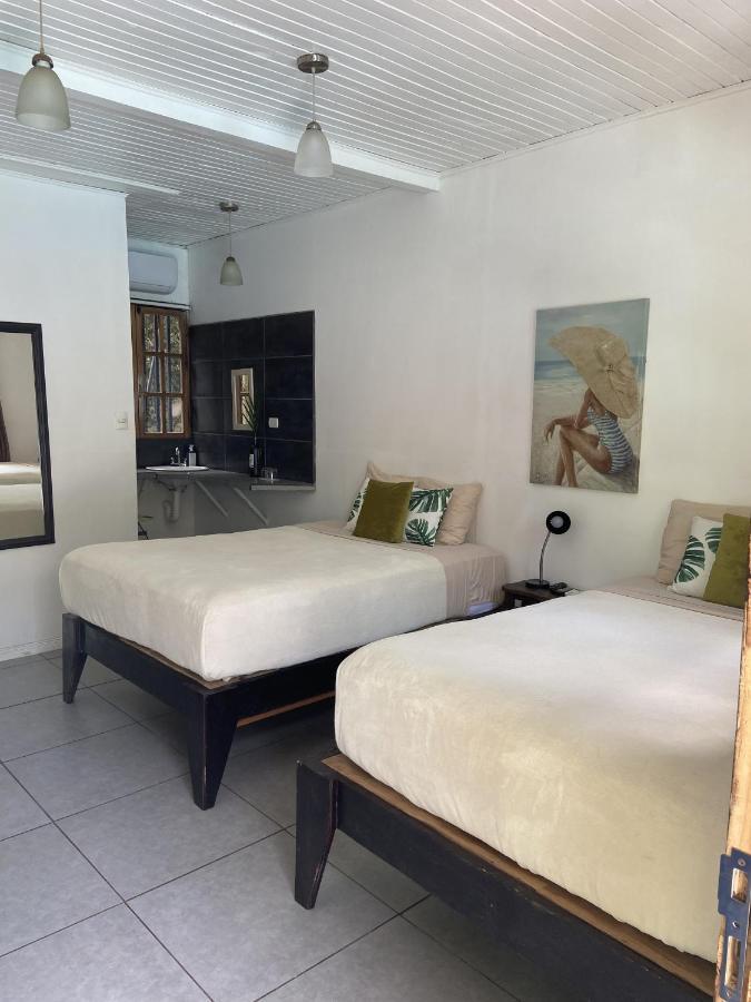 Lizard King Hotel & Suites Puerto Viejo de Talamanca Exteriér fotografie