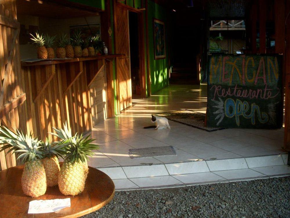 Lizard King Hotel & Suites Puerto Viejo de Talamanca Exteriér fotografie